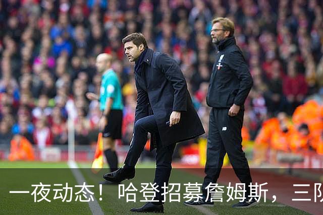 一夜动态！哈登招募詹姆斯，三队和掘金抢人，火箭伤病更新