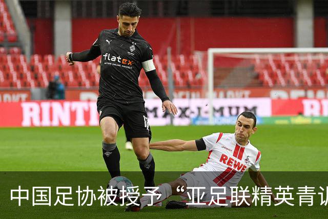中国足协被授予“亚足联精英青训计划三星会员”资格