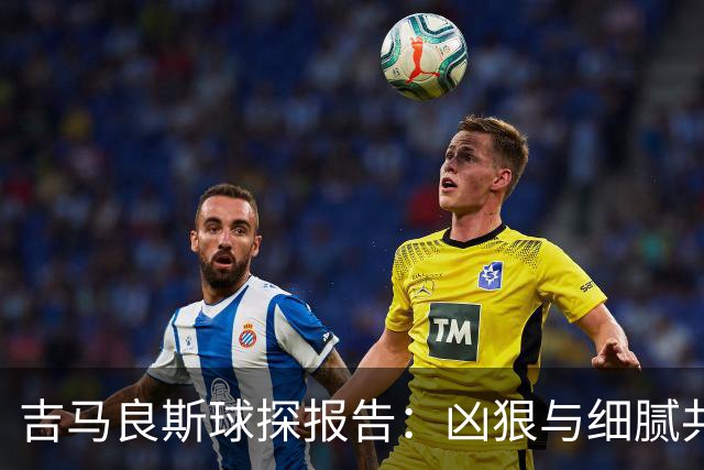 吉马良斯球探报告：凶狠与细腻共存，阿森纳这7500万花的太值
