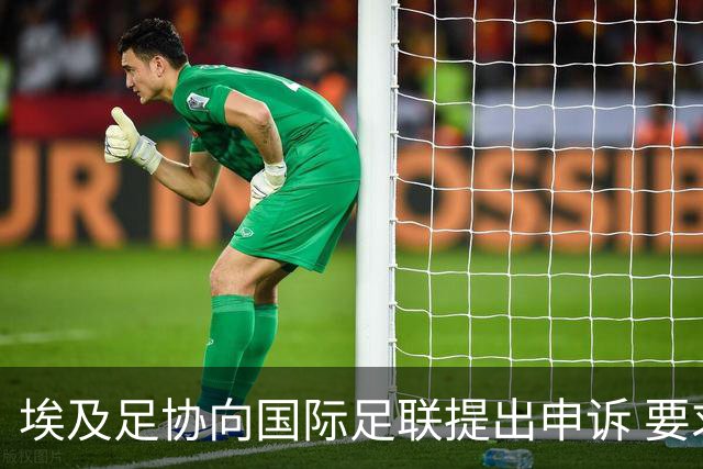 埃及足协向国际足联提出申诉 要求调查主裁的严重误判