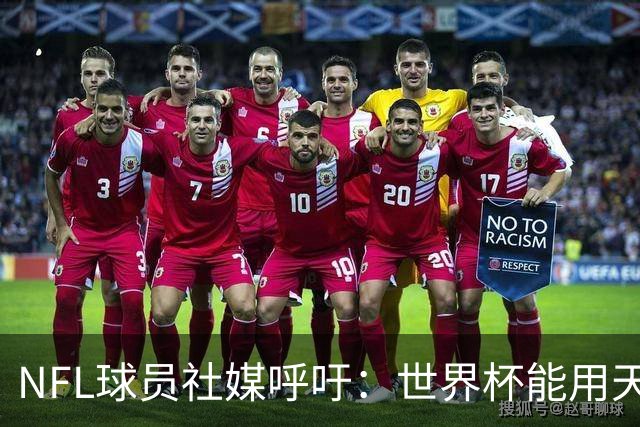 NFL球员社媒呼吁：世界杯能用天然草皮，我们也要
